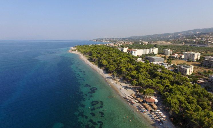 "Youth together for the forest of Xylokastro" part II- Volunteering opportunity (2/2/20-31/3/20)