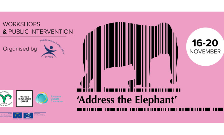 Address the Elephant